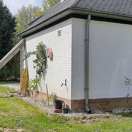 Vrijstaande Recreatievilla Met Ruime Omheinde Tuin Posterholt Dış mekan fotoğraf