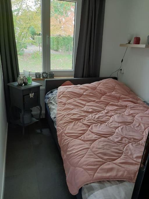 Vrijstaande Recreatievilla Met Ruime Omheinde Tuin Posterholt Dış mekan fotoğraf